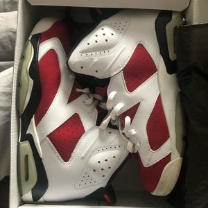 Air Jordan Carmine 6s